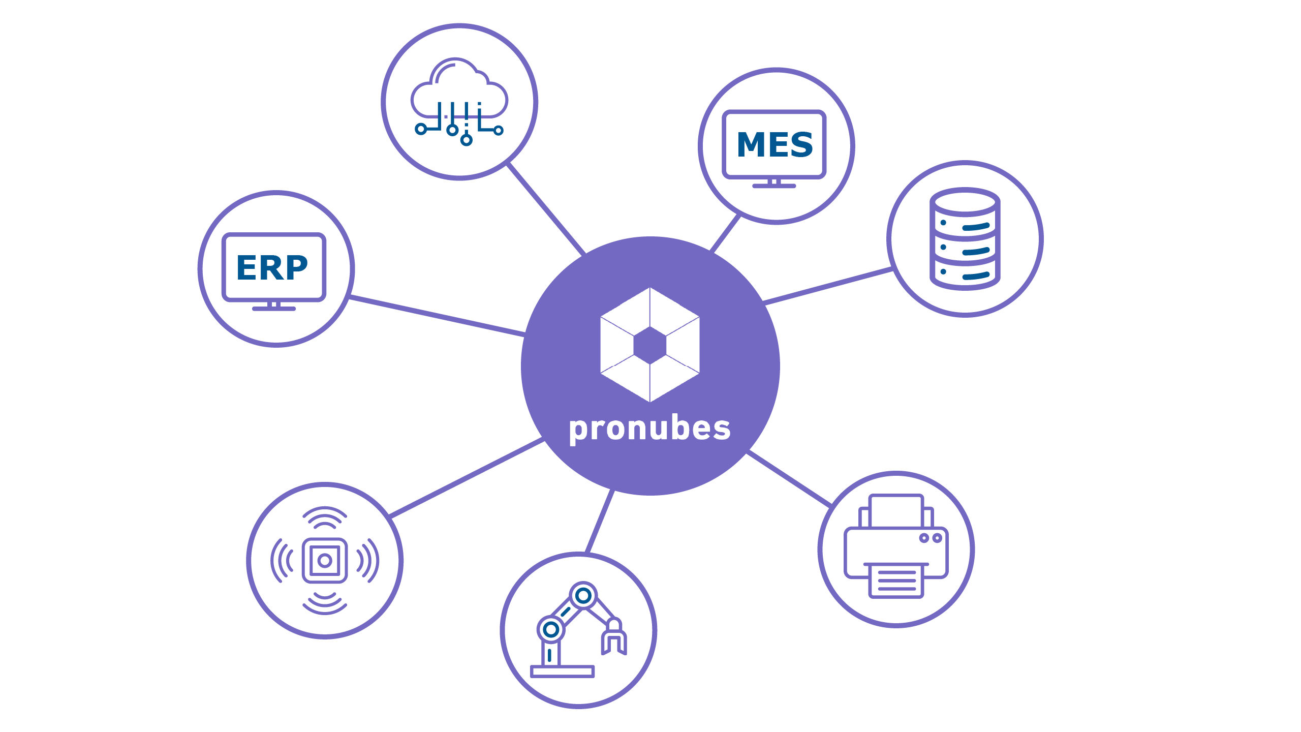 pronubes_Grafik_Connectivity_white